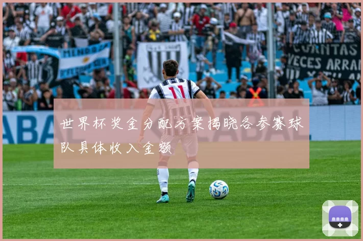 世界杯奖金分配方案揭晓各参赛球队具体收入金额