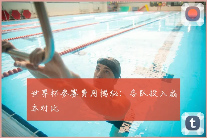 世界杯参赛费用揭秘:各队投入成本对比