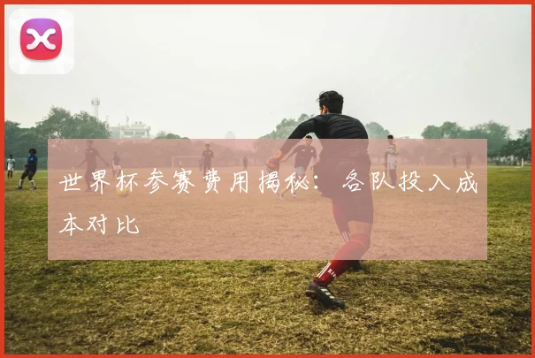 世界杯参赛费用揭秘：各队投入成本对比