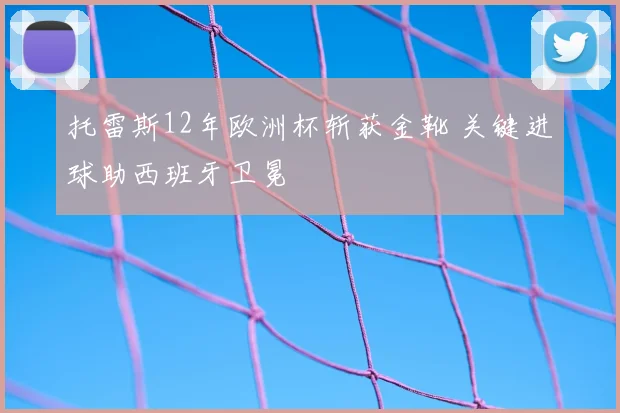 托雷斯12年欧洲杯斩获金靴 关键进球助西班牙卫冕