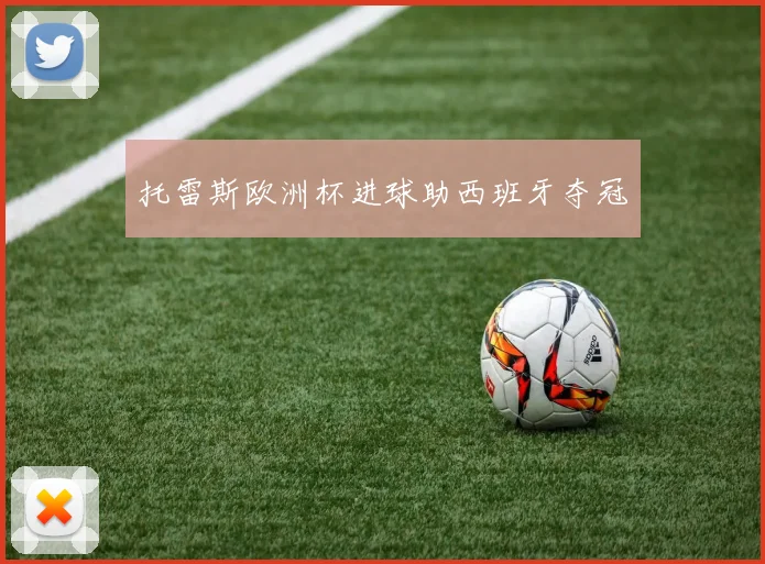 托雷斯欧洲杯进球助西班牙夺冠