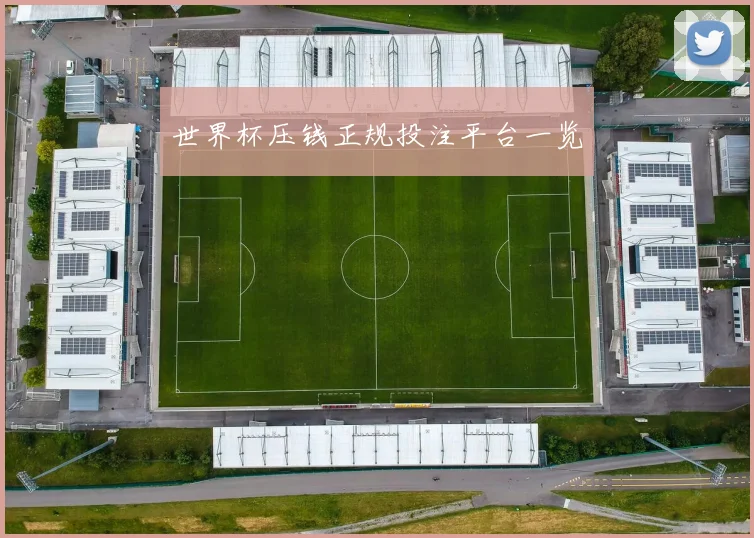 世界杯压钱正规投注平台一览