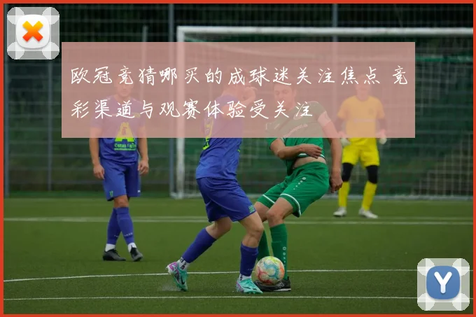 欧冠竞猜哪买的成球迷关注焦点 竞彩渠道与观赛体验受关注